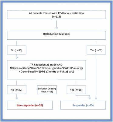 Invasive Hemodynamic Assessment and Procedural Success of Transcatheter Tricuspid Valve Repair—Important Factors for Right Ventricular Remodeling and Outcome